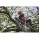 Pilarka akumulatorowa HUSQVARNA T535i XP®